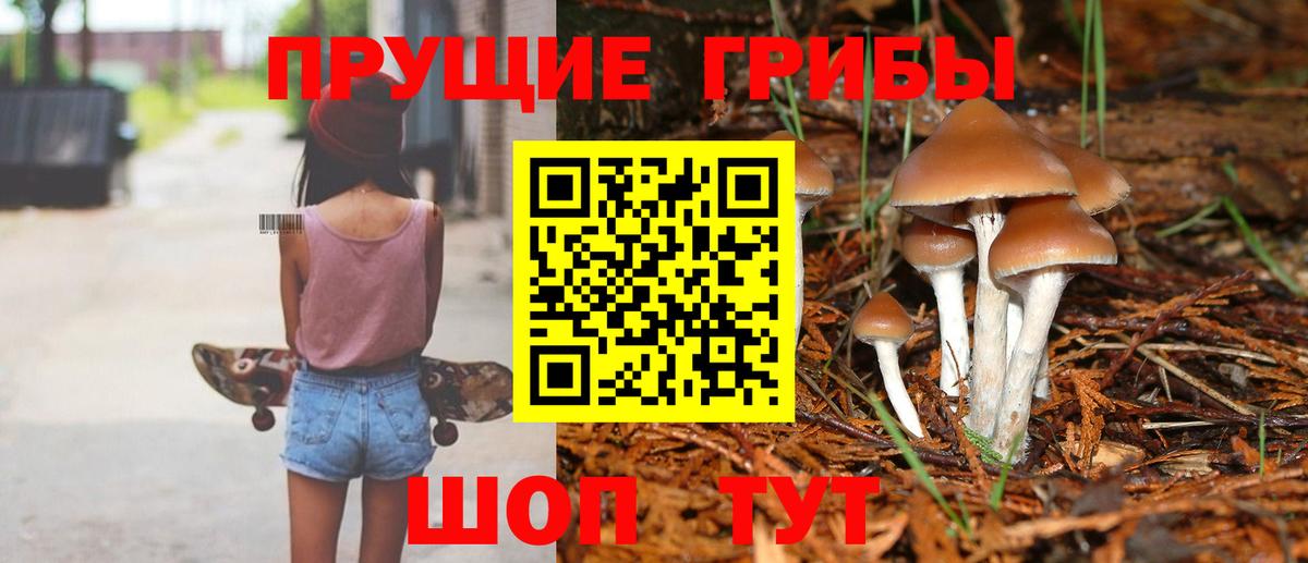 Галлюциногенные грибы Psilocybine cubensis  купить закладку  Белогорск  Галлюциногенные грибы GOLDEN TEACHER  Вход с VPN 